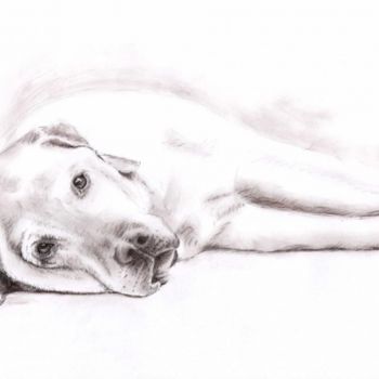 「Labrador」というタイトルの絵画 Arts & Dogsによって, オリジナルのアートワーク, オイル