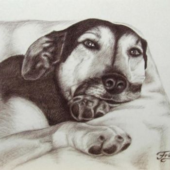 Malerei mit dem Titel "Frieda" von Arts & Dogs, Original-Kunstwerk, Öl