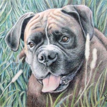 Pintura intitulada "Boxer Yosi" por Arts & Dogs, Obras de arte originais, Óleo