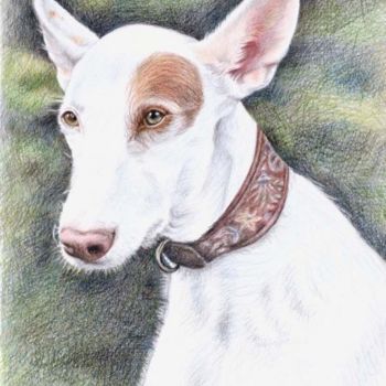 Painting titled "Podenco" by Arts & Dogs, Original Artwork, Oil