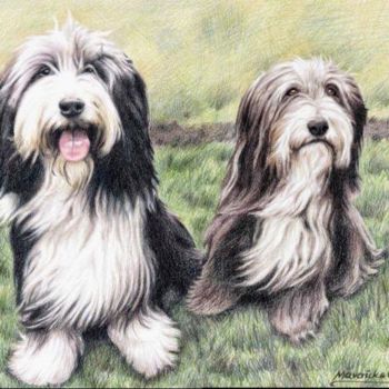 Malerei mit dem Titel "Bearded Collies" von Arts & Dogs, Original-Kunstwerk, Öl