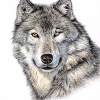 Pintura intitulada "The Wolf" por Arts & Dogs, Obras de arte originais, Óleo