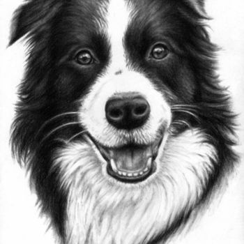 Painting titled "Border Collie" by Arts & Dogs, Original Artwork, Oil