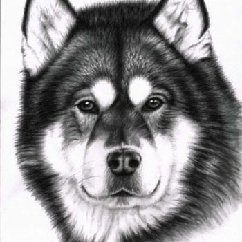 Painting titled "Alaskan Malamute Po…" by Arts & Dogs, Original Artwork, Oil