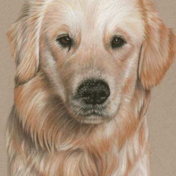 "Golden Retriever Sa…" başlıklı Tablo Arts & Dogs tarafından, Orijinal sanat, Petrol