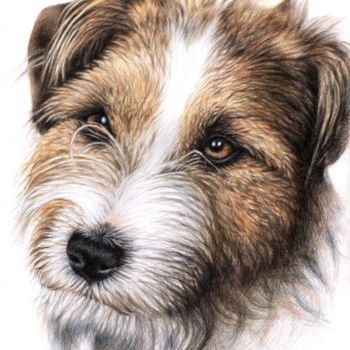 "Jack Russell Terrie…" başlıklı Tablo Arts & Dogs tarafından, Orijinal sanat, Petrol