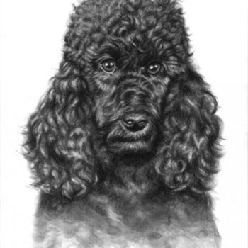 Painting titled "Poodle Portrait" by Arts & Dogs, Original Artwork, Oil