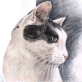 绘画 标题为“Tomcat” 由Arts & Dogs, 原创艺术品, 油