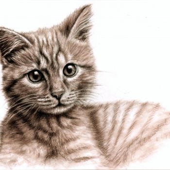 Pintura intitulada "Little Kitten" por Arts & Dogs, Obras de arte originais, Óleo