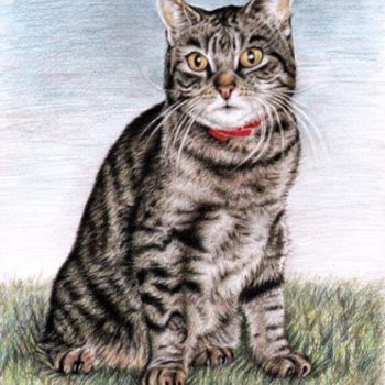 Malerei mit dem Titel "Cat" von Arts & Dogs, Original-Kunstwerk, Öl