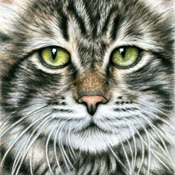 Schilderij getiteld "Cats Face" door Arts & Dogs, Origineel Kunstwerk, Olie