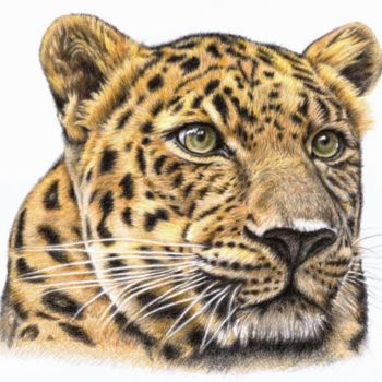 Painting titled "Leopard" by Arts & Dogs, Original Artwork, Oil