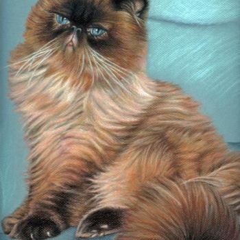 Painting titled "Perserkater" by Arts & Dogs, Original Artwork, Oil