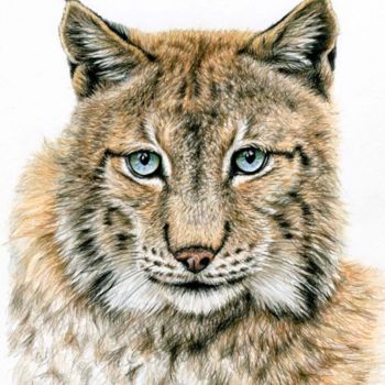 Painting titled "Lynx" by Arts & Dogs, Original Artwork, Oil