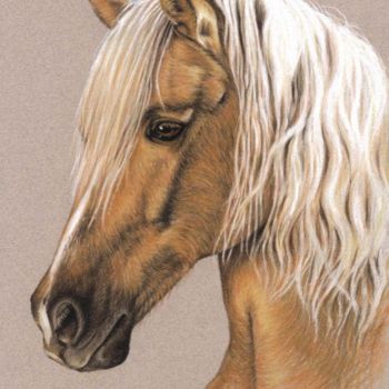 Painting titled "Berber Horse" by Arts & Dogs, Original Artwork, Oil