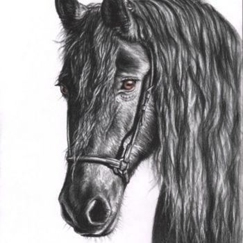 Malerei mit dem Titel "Friesian Horse" von Arts & Dogs, Original-Kunstwerk, Öl