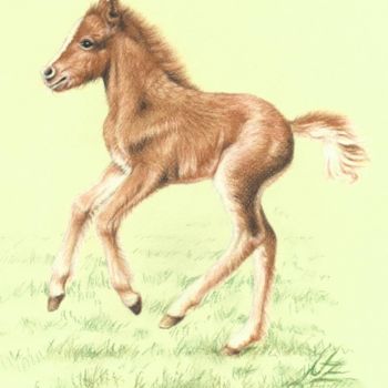 Malerei mit dem Titel "fuchs-pony" von Arts & Dogs, Original-Kunstwerk