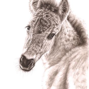 Картина под названием "Wildhorse Foal" - Arts & Dogs, Подлинное произведение искусства, Масло