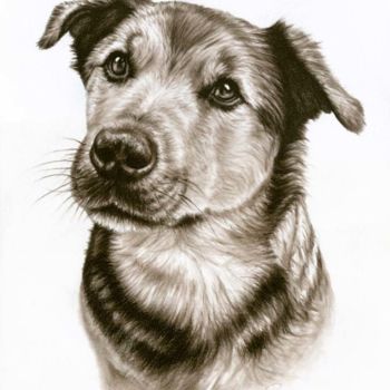 Картина под названием "Dogs Eyes" - Arts & Dogs, Подлинное произведение искусства, Масло