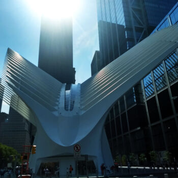 Fotografia intitolato ""The Oculus"   [New…" da China Alicia Rivera, Opera d'arte originale