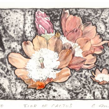 Obrazy i ryciny zatytułowany „" Flor de Cactus "” autorstwa Chinami Miyata, Oryginalna praca, Rytownictwo