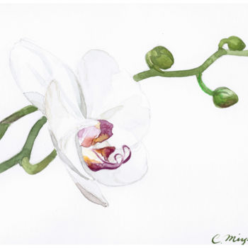 Pintura titulada "orchidea.jpg" por Chinami Miyata, Obra de arte original, Acuarela