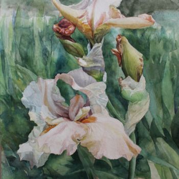 Pittura intitolato "" Iris nella palude…" da Chinami Miyata, Opera d'arte originale, Acquarello