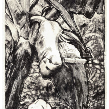 Druckgrafik mit dem Titel "Flor de Banana" von Chinami Miyata, Original-Kunstwerk, Gravur