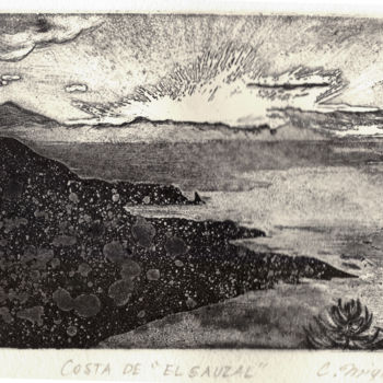 Incisioni, stampe intitolato "Costa de "EL SAUZAL"" da Chinami Miyata, Opera d'arte originale, incisione