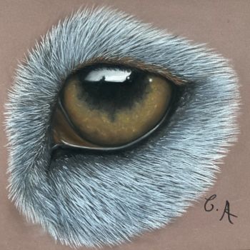 Tekening getiteld "Dessin réaliste d’u…" door Chloerine_art, Origineel Kunstwerk, Pastel