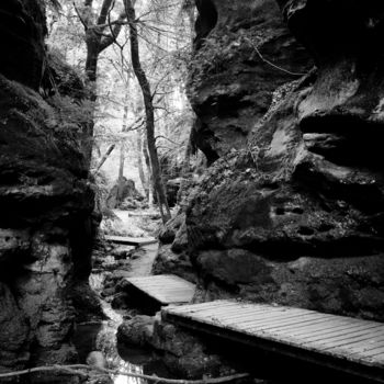 Photographie intitulée "The Trail" par Christian Schwarz, Œuvre d'art originale, Photographie numérique