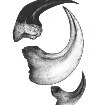 Rysunek zatytułowany „claws.jpeg” autorstwa Charles Rastoul, Oryginalna praca