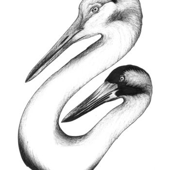 图画 标题为“ducks.jpeg” 由Charles Rastoul, 原创艺术品, 圆珠笔