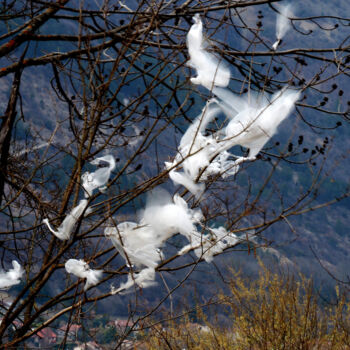 Pintura titulada "En route vers le pi…" por Christophe Sécher, Obra de arte original, Fotografía no manipulada Montado en Ot…