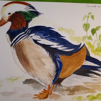 Painting titled "le canard mandarin" by Chris Texier, Original Artwork, Watercolor