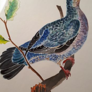 Painting titled "le pigeon ramier" by Chris Texier, Original Artwork, Watercolor