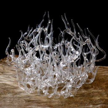 Skulptur mit dem Titel "Aqua-organic" von Chris Coelln, Original-Kunstwerk, Glas
