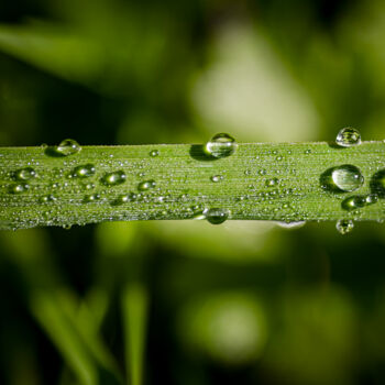 Photographie intitulée "DAME NATURE N°7" par Chris Lenoire, Œuvre d'art originale, Photographie non manipulée