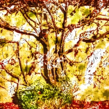 Digital Arts titled "l arbre de vie sola…" by Christelle Marini, Original Artwork, Photo Montage