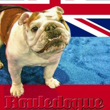 Roxy... le bouledogue anglais