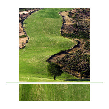 Photographie intitulée "France  Cévennes" par Christian Clausier, Œuvre d'art originale, Photographie numérique