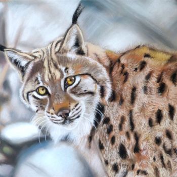 Tekening getiteld "Lynx eurasien" door Christian Grosse, Origineel Kunstwerk, Pastel