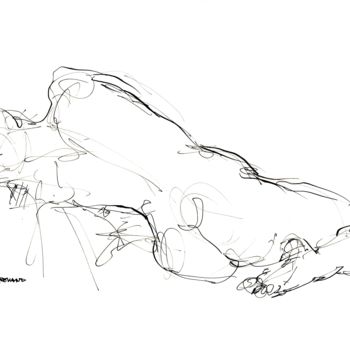Desenho intitulada "a4 2008 plu 06" por Christian Rolland, Obras de arte originais, Tinta