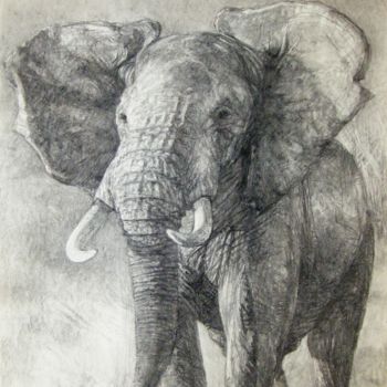 Рисунок под названием "éléphant 1" - Christian Rolland, Подлинное произведение искусства, Древесный уголь