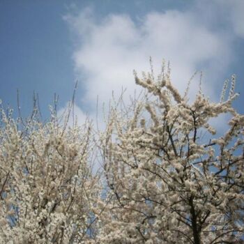 Photographie intitulée "En plein ciel" par Christiane Guilleminot, Œuvre d'art originale