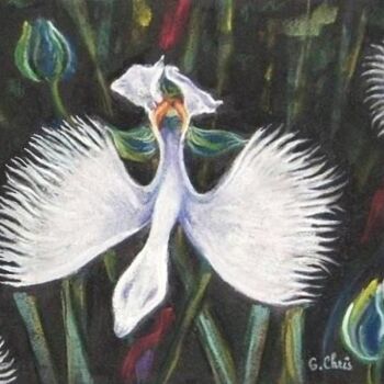 Dessin intitulée "Orchidée ou colombe" par Christiane Guilleminot, Œuvre d'art originale, Pastel