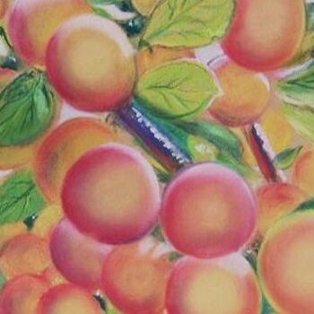 Dessin intitulée "Prunes du jardin" par Christiane Guilleminot, Œuvre d'art originale, Pastel