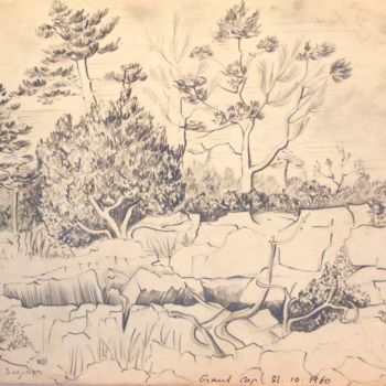 Desenho intitulada "Grand Cap" por Christiane Seguin, Obras de arte originais, Lápis