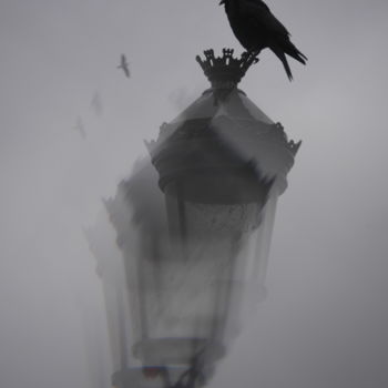Photography titled "...  LE CORBEAU / T…" by Christianmongenier ( L'Incompris ), Original Artwork, Digital Photography
