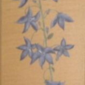 Peinture intitulée "fleurs bleues" par Christian Salaun, Œuvre d'art originale